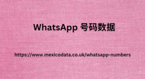 WhatsApp 号码数据